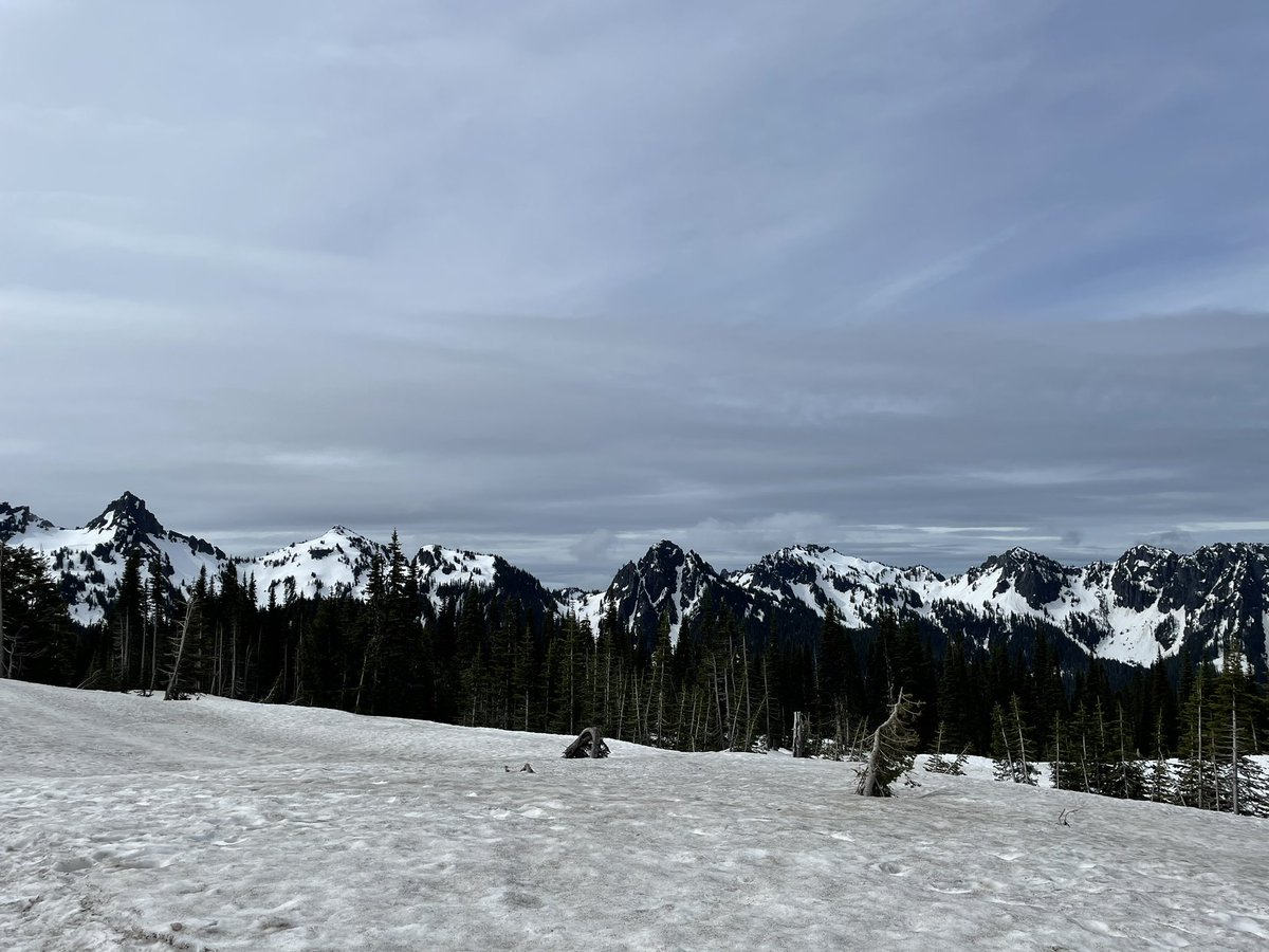 RealToddS's tweet photo. National Park, Washington edition. #MTRainier https://t.co/GTJKbViTih