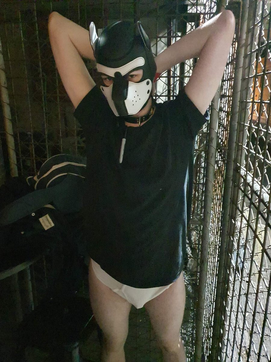 SnootoftheLoom's tweet photo. "grr" 
Got wonderfully tied up @The_BootCo_Bris 

#pupplay #puphood #chasitycage #wedgie #bondage #ropeplay #tightywhities #wedgiepup #kink #fetish #cockcage #humanpup #ropepuppy #gaybrisbane #briefs https://t.co/nDmlk5TwYH