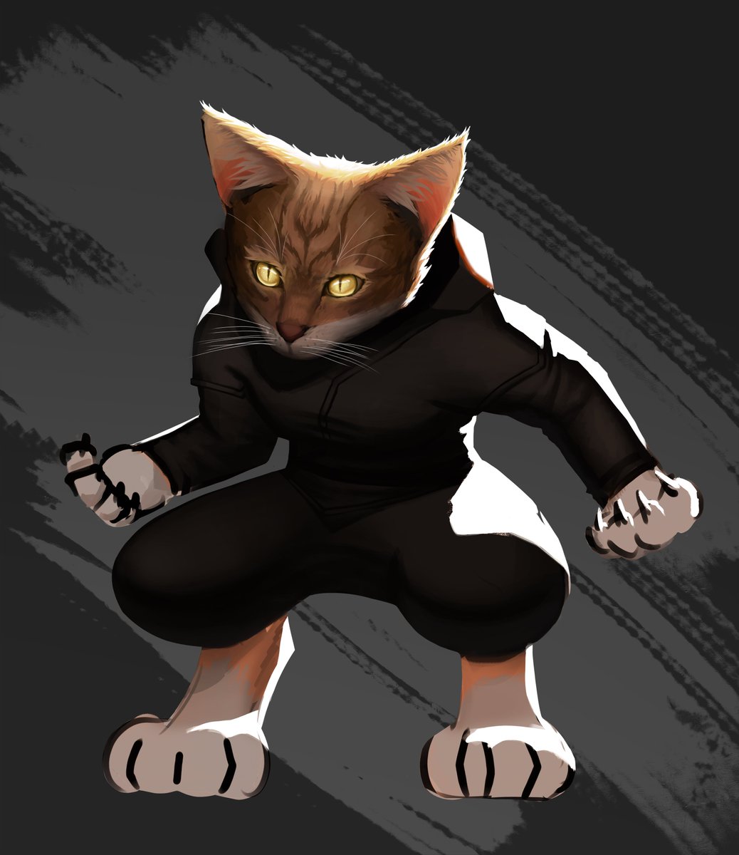 I drew Bella my cat as a ninja hehe