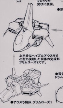 美しい暦blog プリムローズii研究
