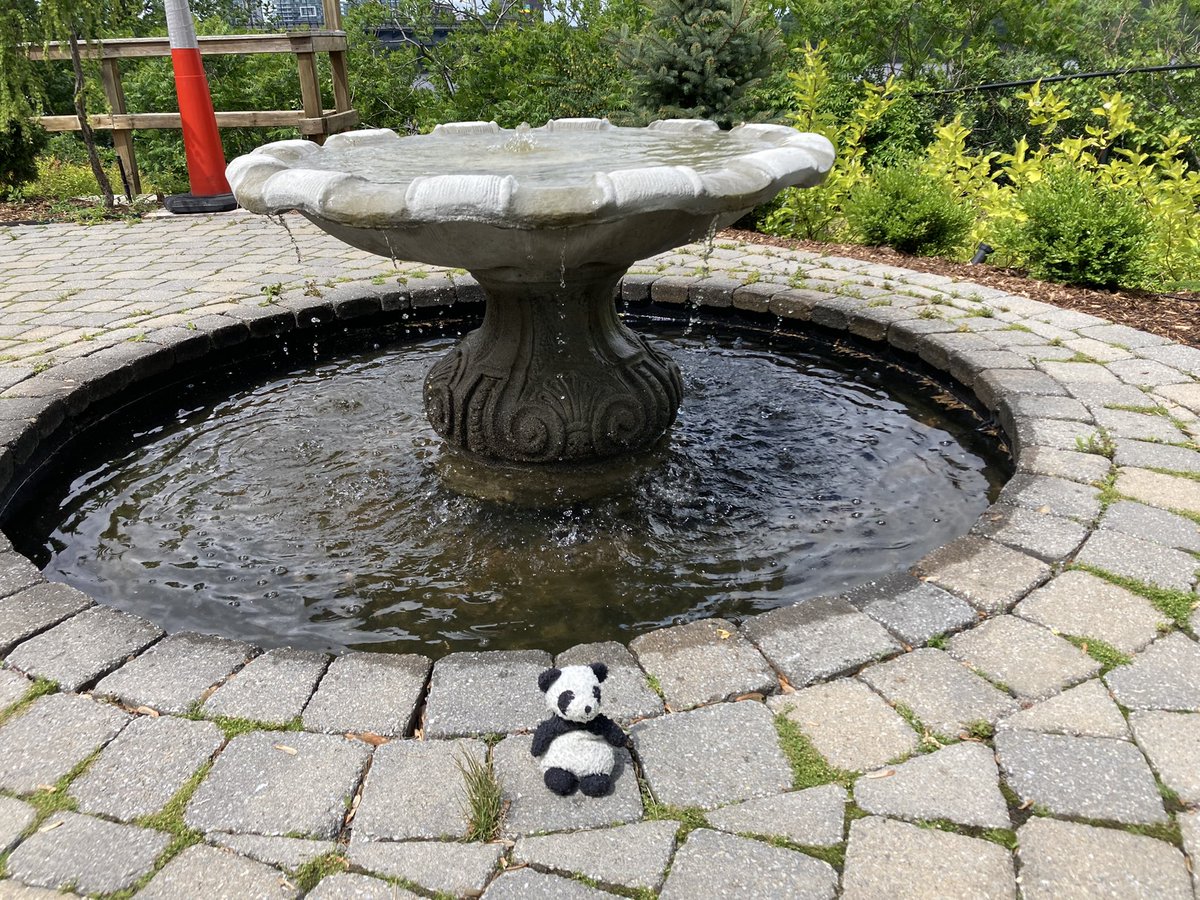 Adventures with Gauss the Panda (@adventure_gauss) on Twitter photo Had an amazing time at Earnscliffe for the Platinum Jubilee and Doors Open Ottawa! <a href="/UKinCanada/">UK in Canada 🇬🇧🇨🇦</a> <a href="/DoorsOpenOttawa/">Doors Open Ottawa</a> #PlatinumJubilee #DoorsOpenOttawa Had an amazing time at Earnscliffe for the Platinum Jubilee and Doors Open Ottawa! <a href="/UKinCanada/">UK in Canada 🇬🇧🇨🇦</a> <a href="/DoorsOpenOttawa/">Doors Open Ottawa</a> #PlatinumJubilee #DoorsOpenOttawa