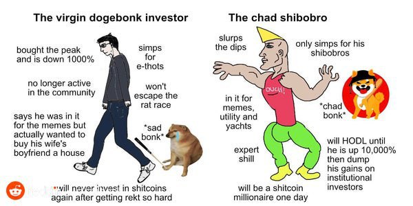 Stonk Hunter tweet media