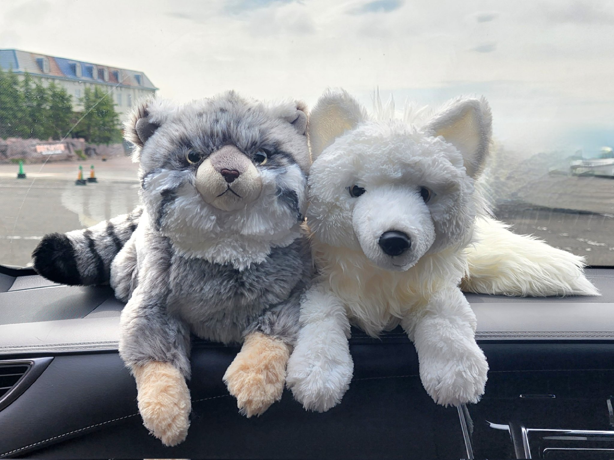 那須どうぶつ王国 限定 ひざおおかみ ホッキョクオオカミ S ぬいぐるみ