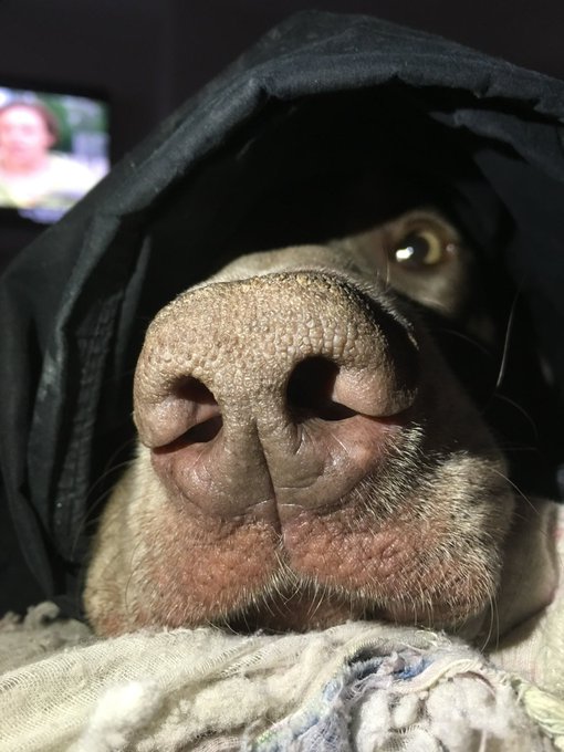 Worry loves I&rsquo;ll be on in 2 hrs I was getting on but it&rsquo;s a hard day for me missing my baby more then<a href="/tag/presents"class="tags"><span>#presents</span></a>