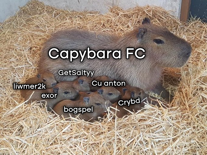 CAPYBARA FC 🔥🔥 tweet media