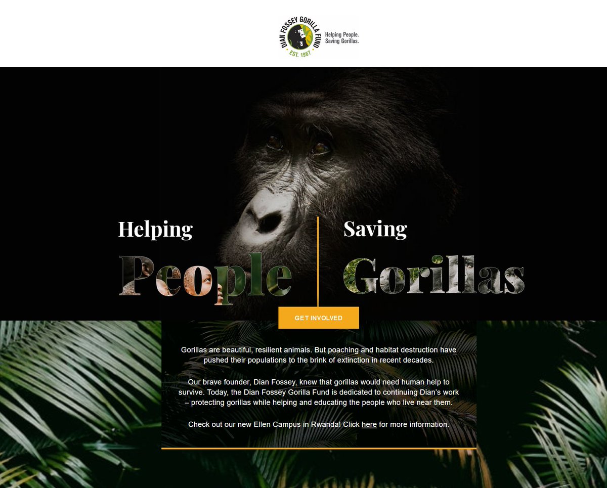 If #gorillas 🦍 knew #NFTs where #Helpinghands, what would they do? Start swiping them if you show them a phone?
If you spot one at a Zoo, don't show those lovely animals phones. Please treat them with respect &amp; find out if that zoo is doing something to #support #gorillas.
#help