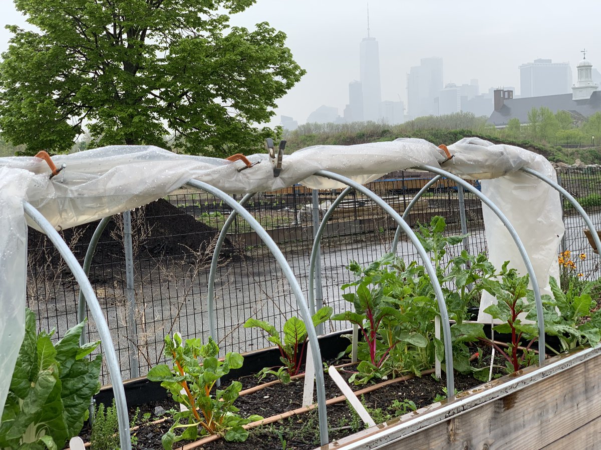 Legacy #Lead in Urban Garden Soils: Communicating Risk and Limiting Exposure frontiersin.org/article/10.338… - my newest article. #soilcontamination #legacylead #nyc #frontiers #SciComm #urbanag #urbangarden