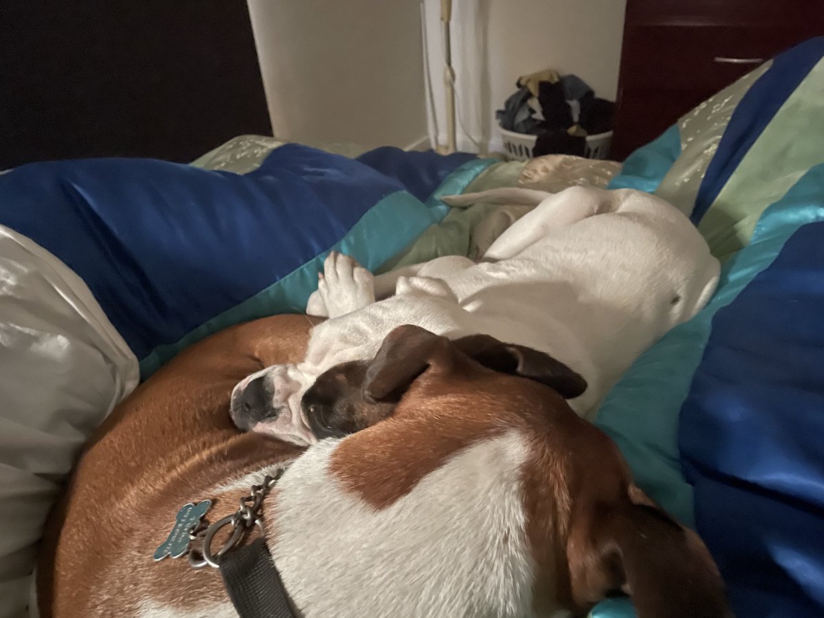 mully1968's tweet image. # morning boxers