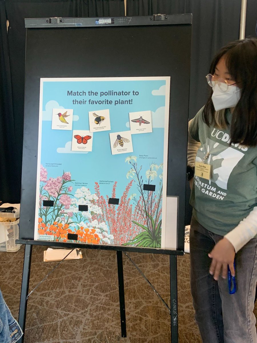 BioDivDay's tweet image. We need pollinators! Across the globe, about 88% of all flowering plants and 35% of plant-based food require pollination to thrive. A range of insects, birds, and mammals pollinate plants, such as bees, wasps, beetles, flies, bats, hummingbirds, butterflies, and moths. #UCDavis