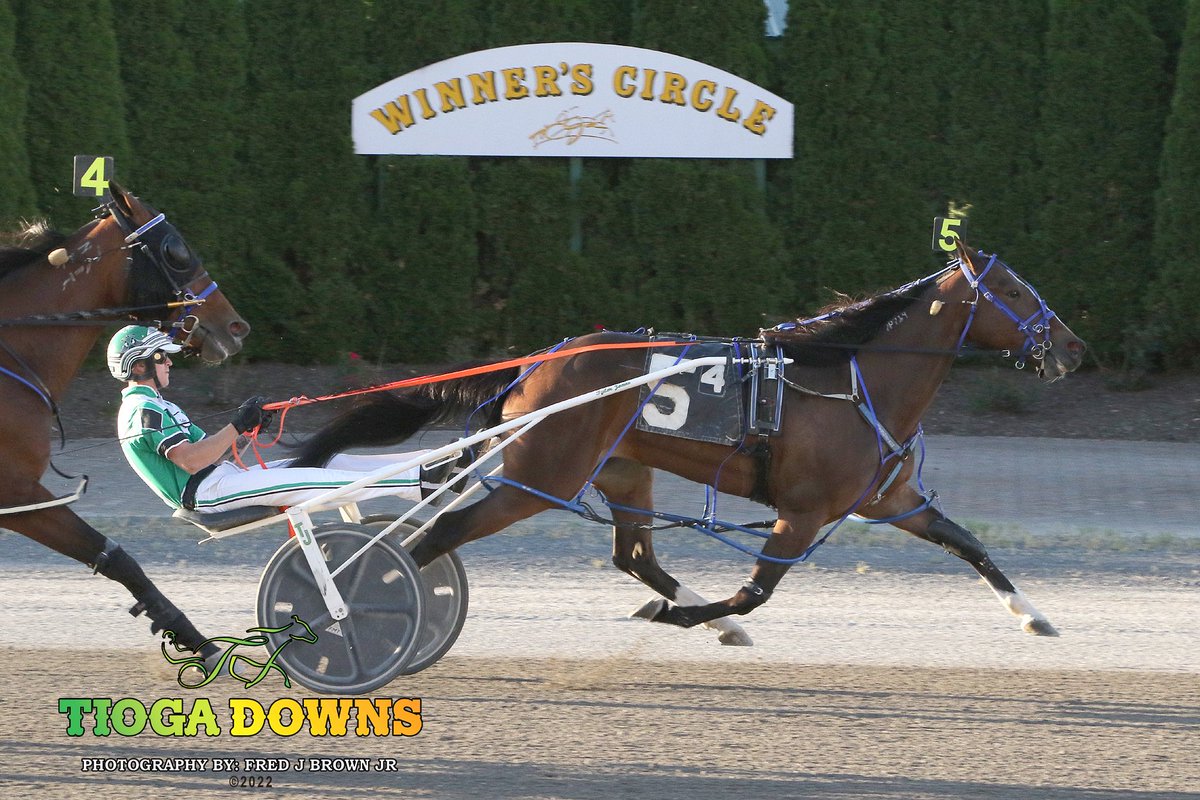 Primo Extremo (Jones/McNichol) turned away all challengers to take tonight's featured F&amp;M Pace at #TiogaDowns!

📸Fred Brown