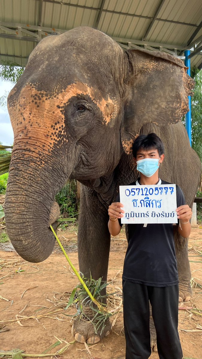 Chang_Changthai99 tweet media