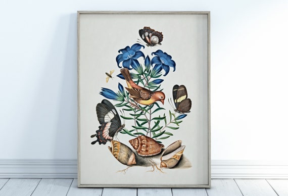 ecoartlab's tweet photo. Bird, Butterfly, Flowers and Shells Wall Art https://t.co/0Ret0EvGmR #butterflywallart #wallartposter #butterflyposter #butterflyprint #ecoartlab https://t.co/xOEn1KNl74