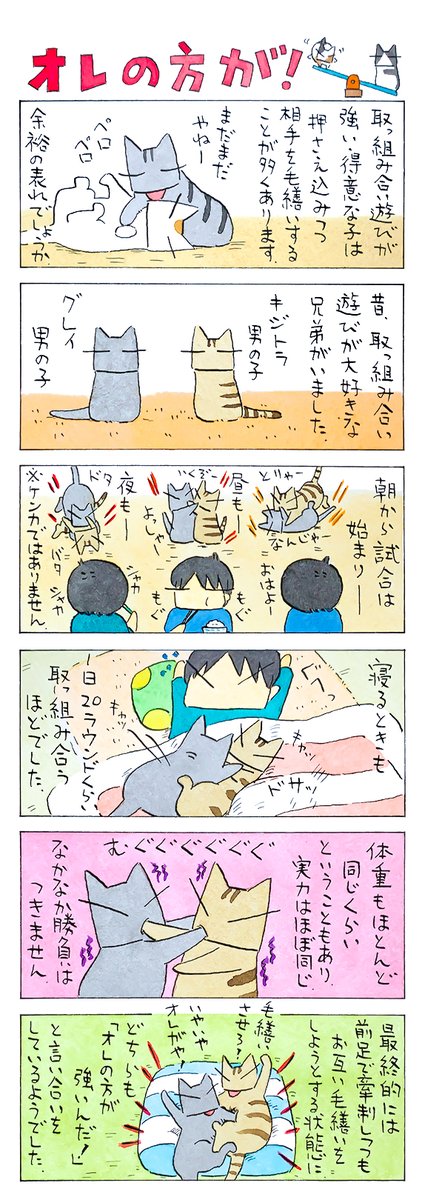 取っ組み合い│フェリシモ猫部 https://t.co/ySfv7WpPE5 
