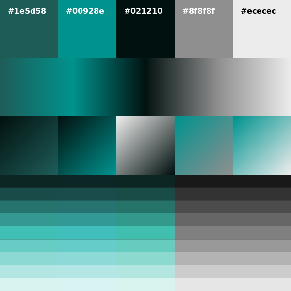 palett_es's tweet photo. #1e5d58 #00928e #021210 #8f8f8f #ececec #generative #design #colors #colorScheme #palette Download it from: https://t.co/xy3p9Kzbj7 https://t.co/PLcqIqJnFj