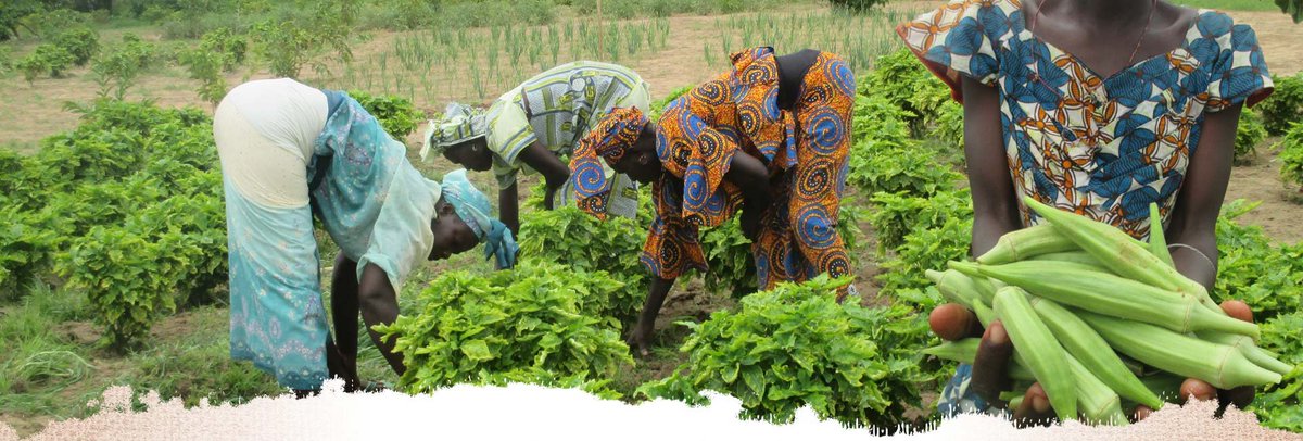 The Center for Renewable Energy and Appropriate Technology for the Environment (CREATE!) was established in 2008 to help rural populations in the developing world cope with water, food, and fuel shortages resulting from the impact of climate change on their communities.