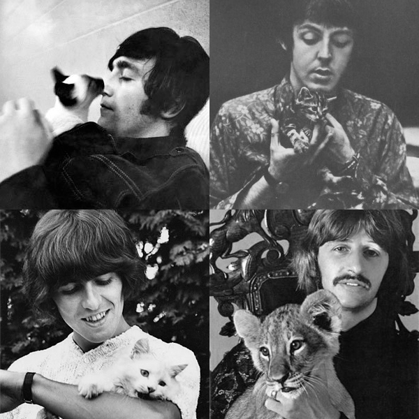 If you didn't know, today is 'International Hug Your Cat Day'! All of The Beatles loved #cats and each had at least one as a pet at some time, Ringo would need to be careful when hugging the cat in his picture though!
#catsday https://t.co/YVu0aftURx