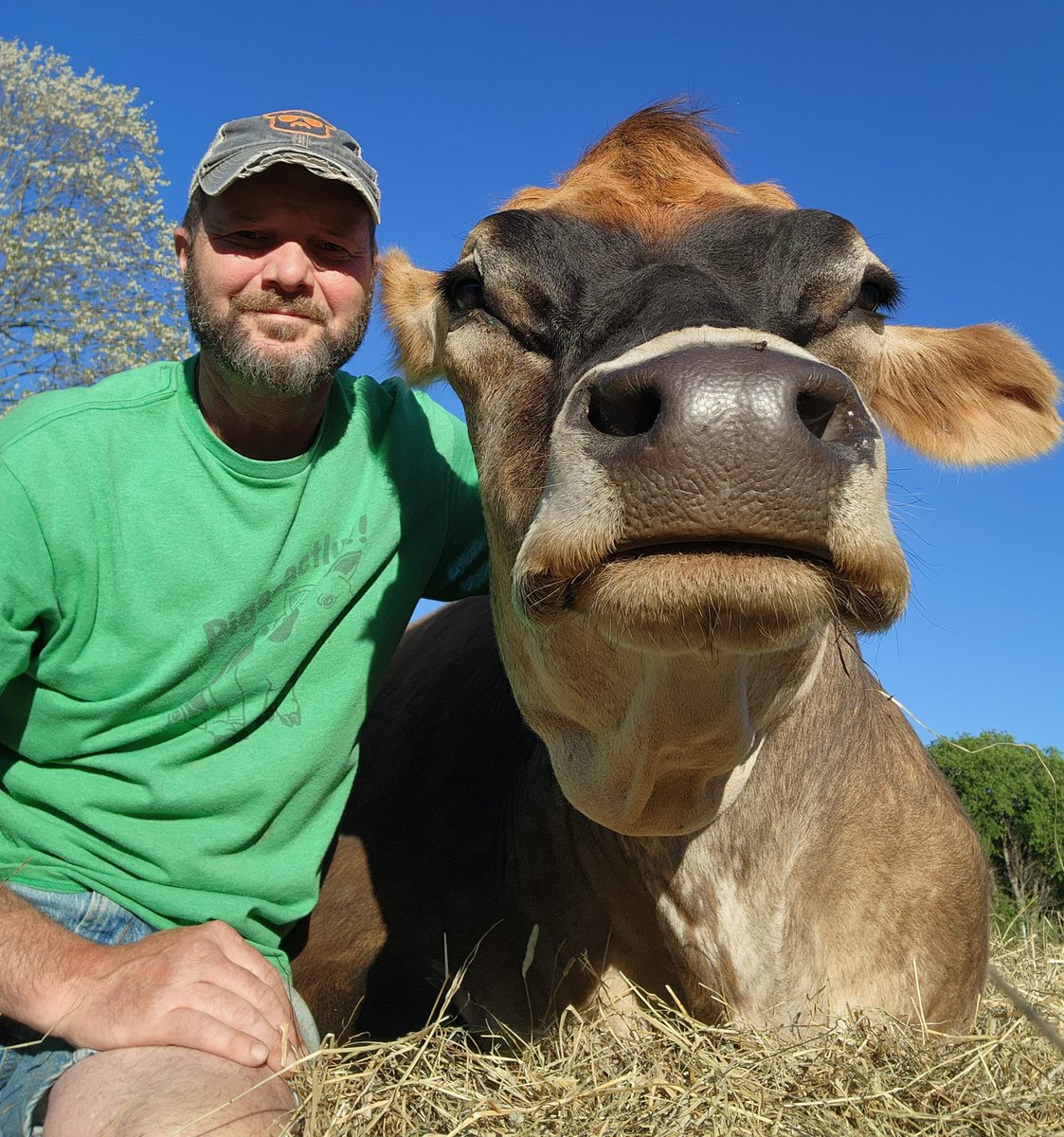 Broome Animal Sanctuary tweet media
