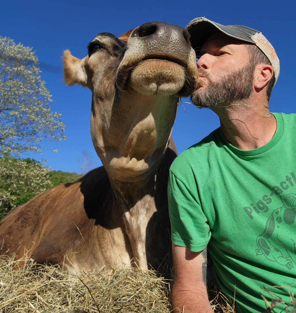 Broome Animal Sanctuary tweet media