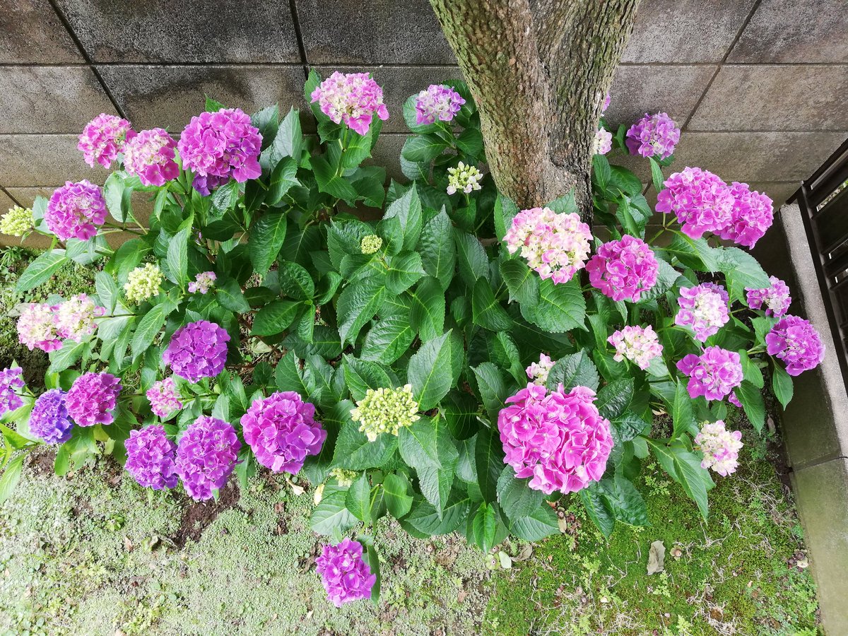 yhinter tweet picture