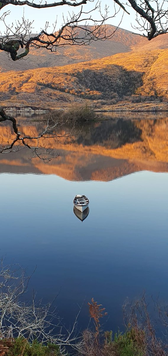 'Relections', Upper Lake, Killarney #kerry 

📷 Jerry Buckley

#discoverkerry @ExperienceKerry
@killarneydotie @wildatlanticway #WildAtlanticWay