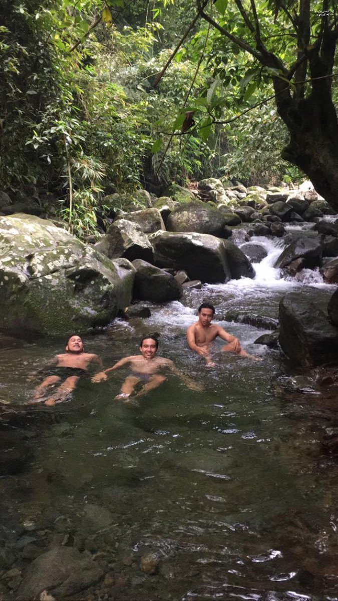 Animals thinks people, stay fresh