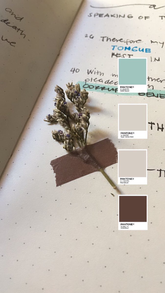 jupiter_onear's tweet photo. I love small things, and literally looking down on earth. Because there’s a little voice in me keep saying that I might find a treasure worth keeping. 

Journaling is my way of coping up with the changes not only around me but “inside” me. 

#LetsGetLonelyTogether https://t.co/2X6aaBf45R
