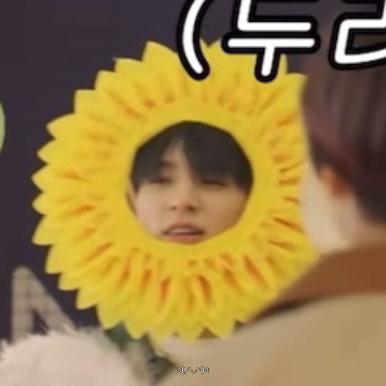 220603 벨리곰 제노 🐻‍❄️🌻