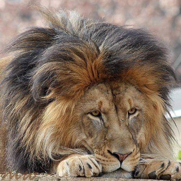 VandervortAlan's tweet image. #NewProfilePic