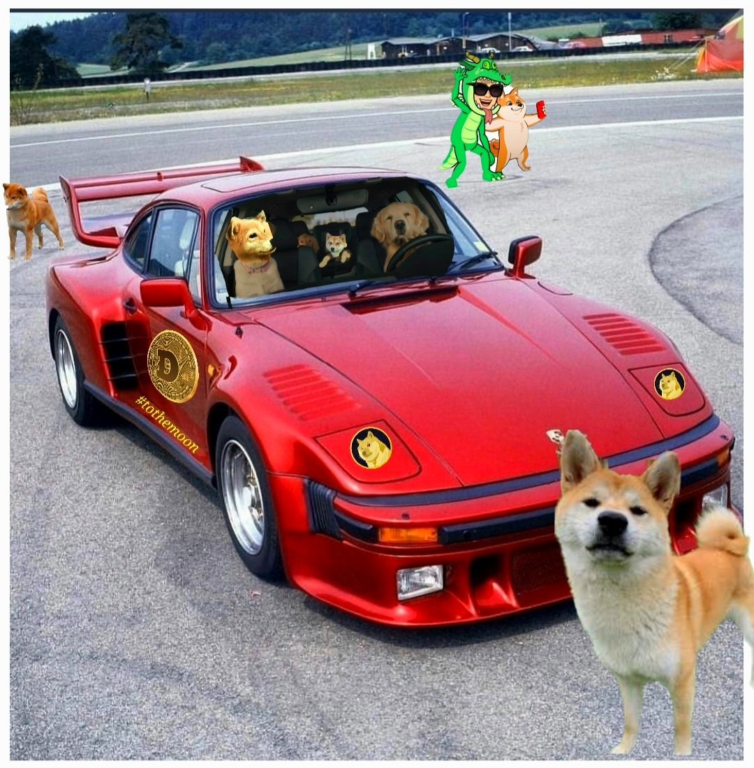 DogeDraagon's tweet photo. @theboimerch7 Slantnose #muchcool #suchpuppy https://t.co/C0qzhEf5iH