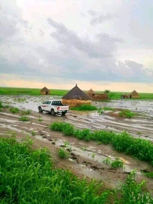 خريف الدالي والمزموم