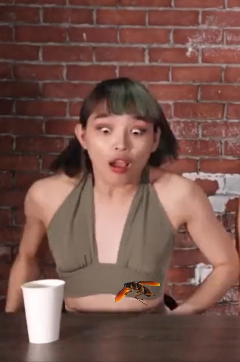 Me minding my                 tas biglang 
own                                     may ipis na
business.                               lumipad