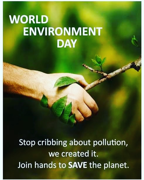 imbikaskumar's tweet photo. Greetings to all on the World Environment Day! Save the environment : - save green, save life.

#WorldEnvironmentDay #5thjune2022 https://t.co/582RAkjwIg