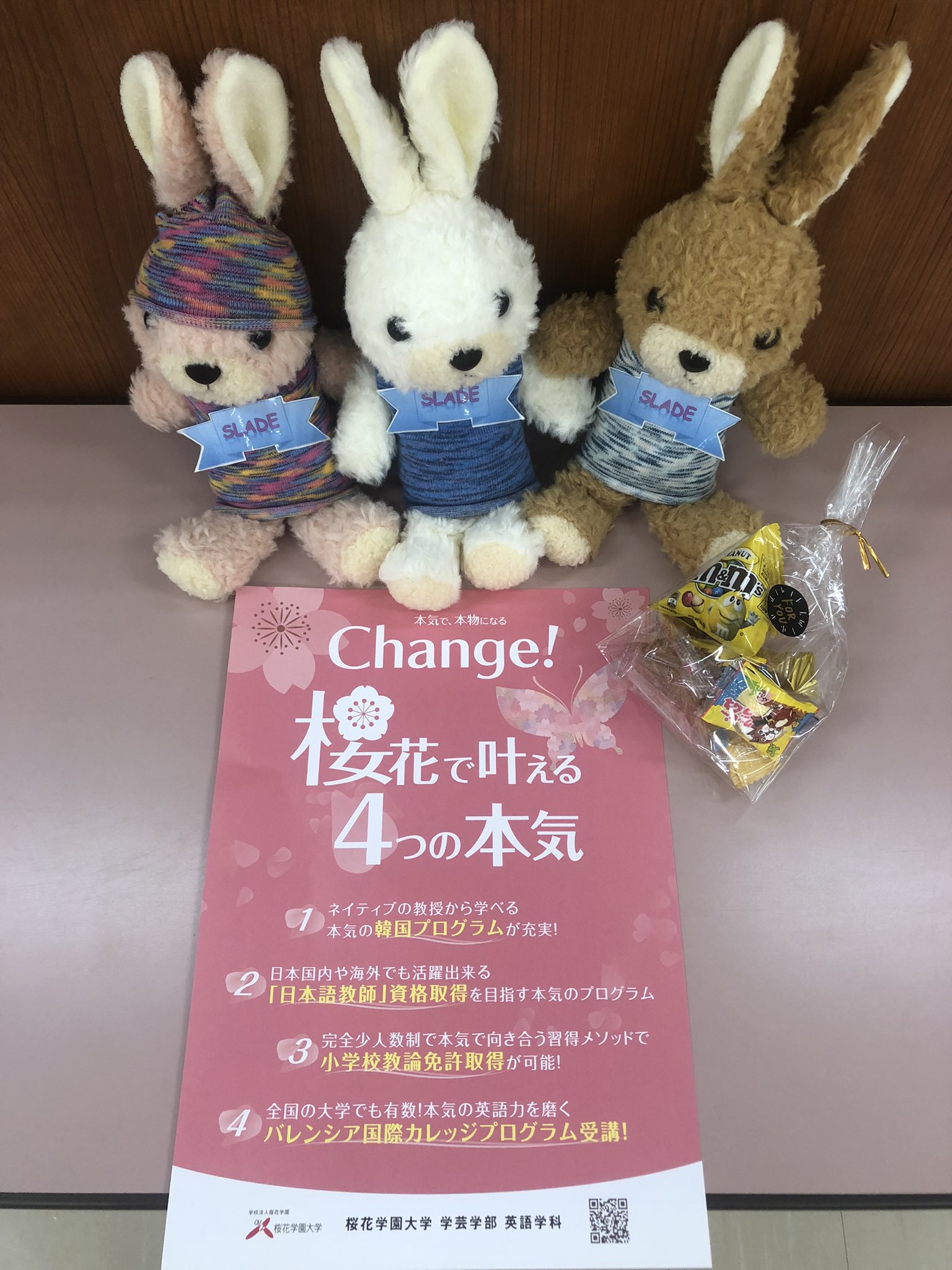 桜花学園大学学芸学部英語学科 A Tuwita 桜花英語 オープンキャンパス Oc 英語学校 女子大 愛知県英語学科 音声教育 音育 Toeicが伸びる大学 プレゼンテーション力が付く大学 Oc開催中 T Co Xhxumczqea Tuwita