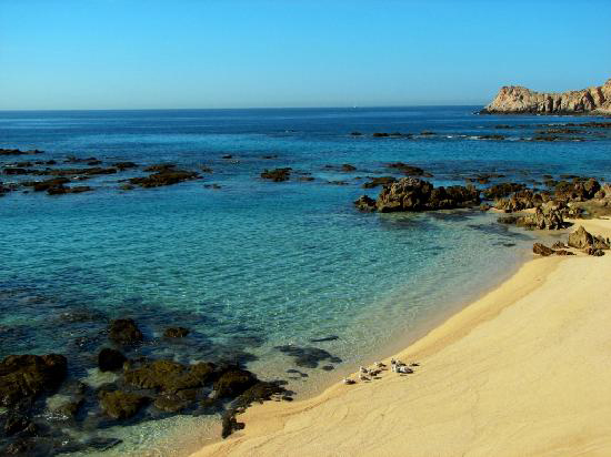 Enjoy a scenic stroll on the beach and gorgeous blue waters when you visit Chileno Beach. This beach also has its own reef, making it great for snorkeling.🐟