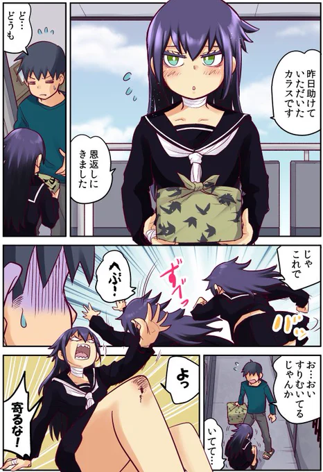あの時助けたカラスがドジすぎて困る2-03(11話目) 