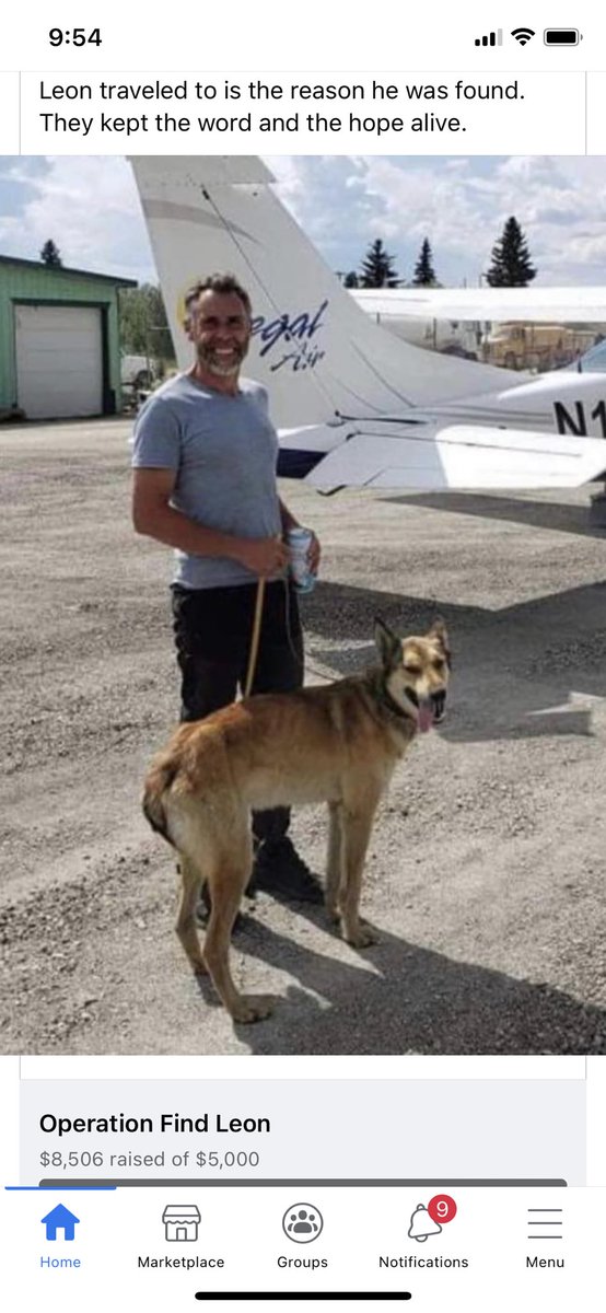 NevaGerman's tweet photo. OMG! Best news! Leon has been found!!! #uglydogs #iditarod #operationfindleon #mushertwitter #dog π₯²π₯Ήπ₯°π https://t.co/9Y65U0bRuA
