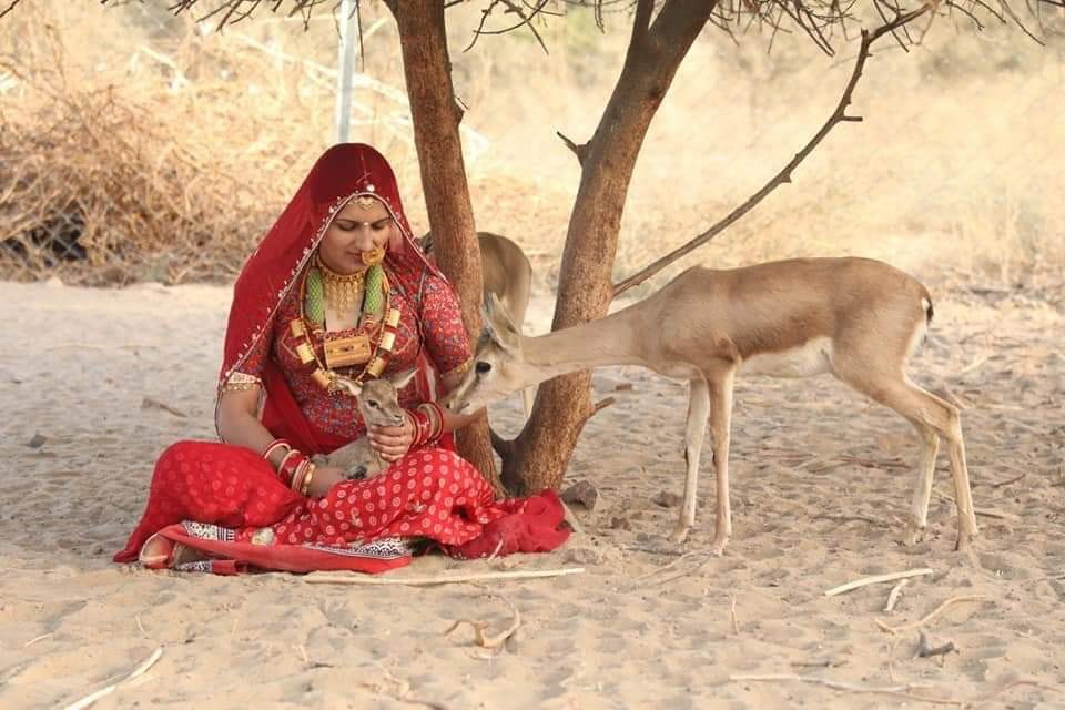 YdntUnderstand's tweet photo. @ErikSolheim @bhamlafoundatio @moefcc @UNinIndia 363 sacrifice for trees in Rajasthan to save environment, are called Bishnoi
#सुनो_मीडिया https://t.co/HDwSv8oGlW