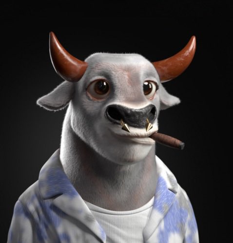 Danek_69's tweet photo. @Crypto_Bull_NFT @oncyber #BlueChipProject #BeABull https://t.co/i0PKPozK1j