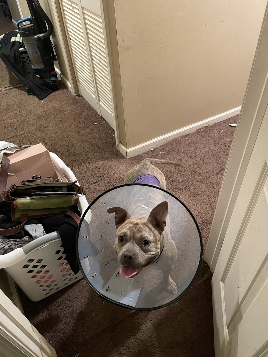 CryptoKen tweet media