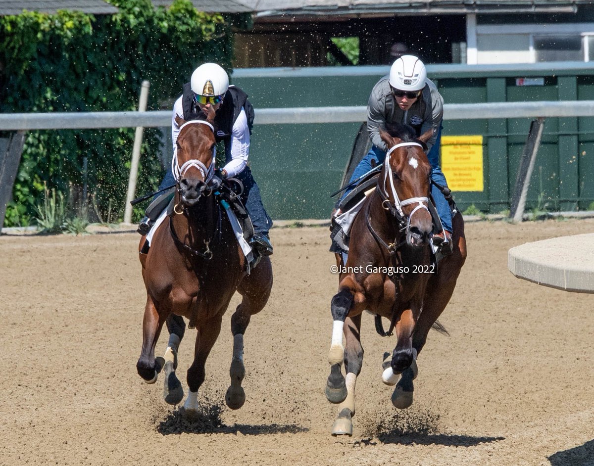 jmg27_janet's tweet photo. MO DONEGAL w @iradortiz up &amp; NEST w @jose93_ortiz up breezed in company this morning as they prep for next Saturday’s @BelmontStakes @PletcherRacing @TheNYRA @EclipseTBP @DonegalRacing https://t.co/1WwgvMA2m1