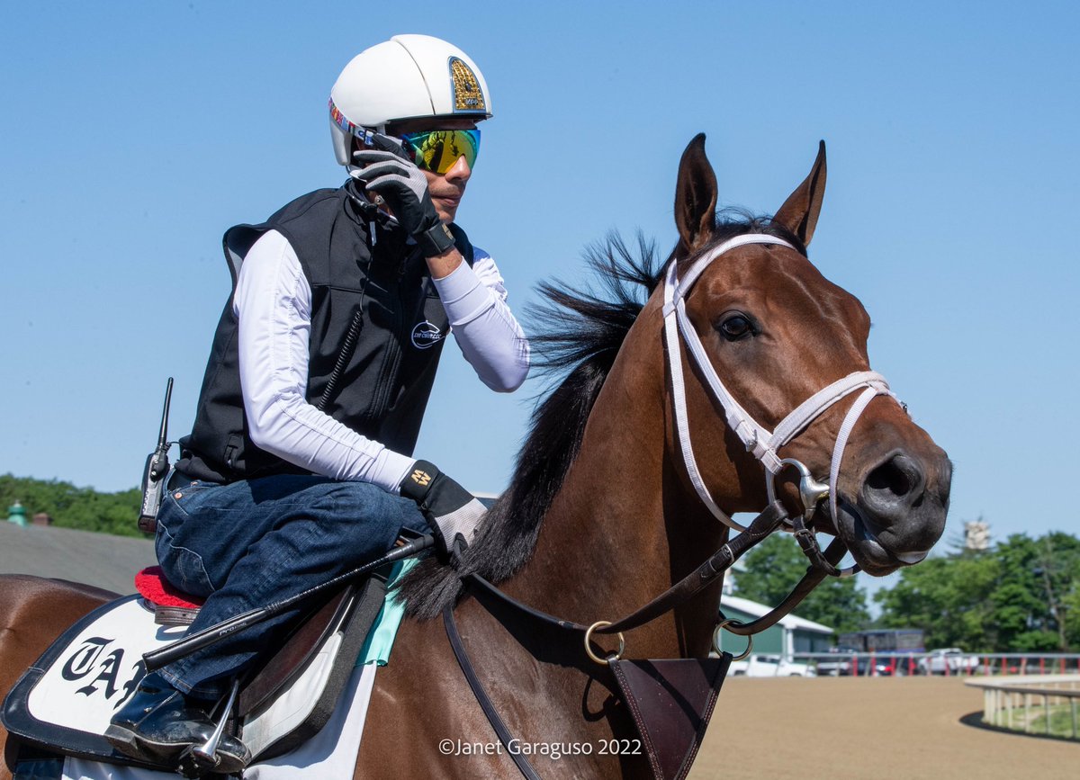jmg27_janet's tweet photo. MO DONEGAL w @iradortiz up &amp; NEST w @jose93_ortiz up breezed in company this morning as they prep for next Saturday’s @BelmontStakes @PletcherRacing @TheNYRA @EclipseTBP @DonegalRacing https://t.co/1WwgvMA2m1