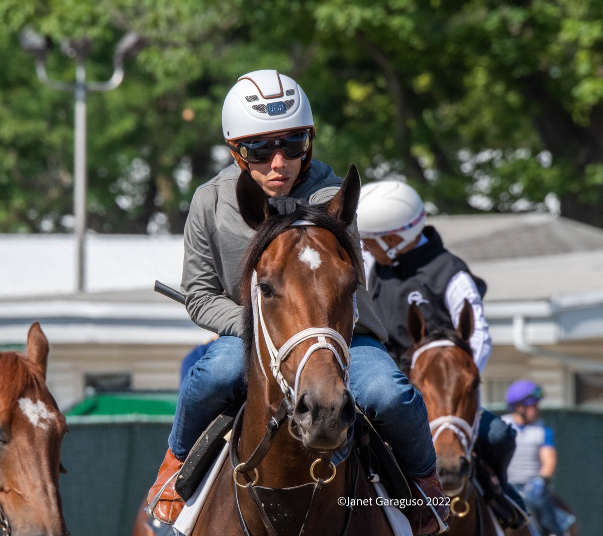 jmg27_janet's tweet photo. MO DONEGAL w @iradortiz up &amp; NEST w @jose93_ortiz up breezed in company this morning as they prep for next Saturday’s @BelmontStakes @PletcherRacing @TheNYRA @EclipseTBP @DonegalRacing https://t.co/1WwgvMA2m1