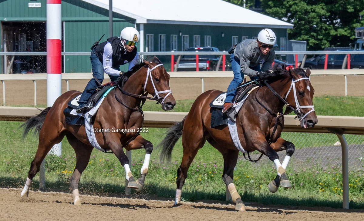 jmg27_janet's tweet photo. MO DONEGAL w @iradortiz up &amp; NEST w @jose93_ortiz up breezed in company this morning as they prep for next Saturday’s @BelmontStakes @PletcherRacing @TheNYRA @EclipseTBP @DonegalRacing https://t.co/1WwgvMA2m1