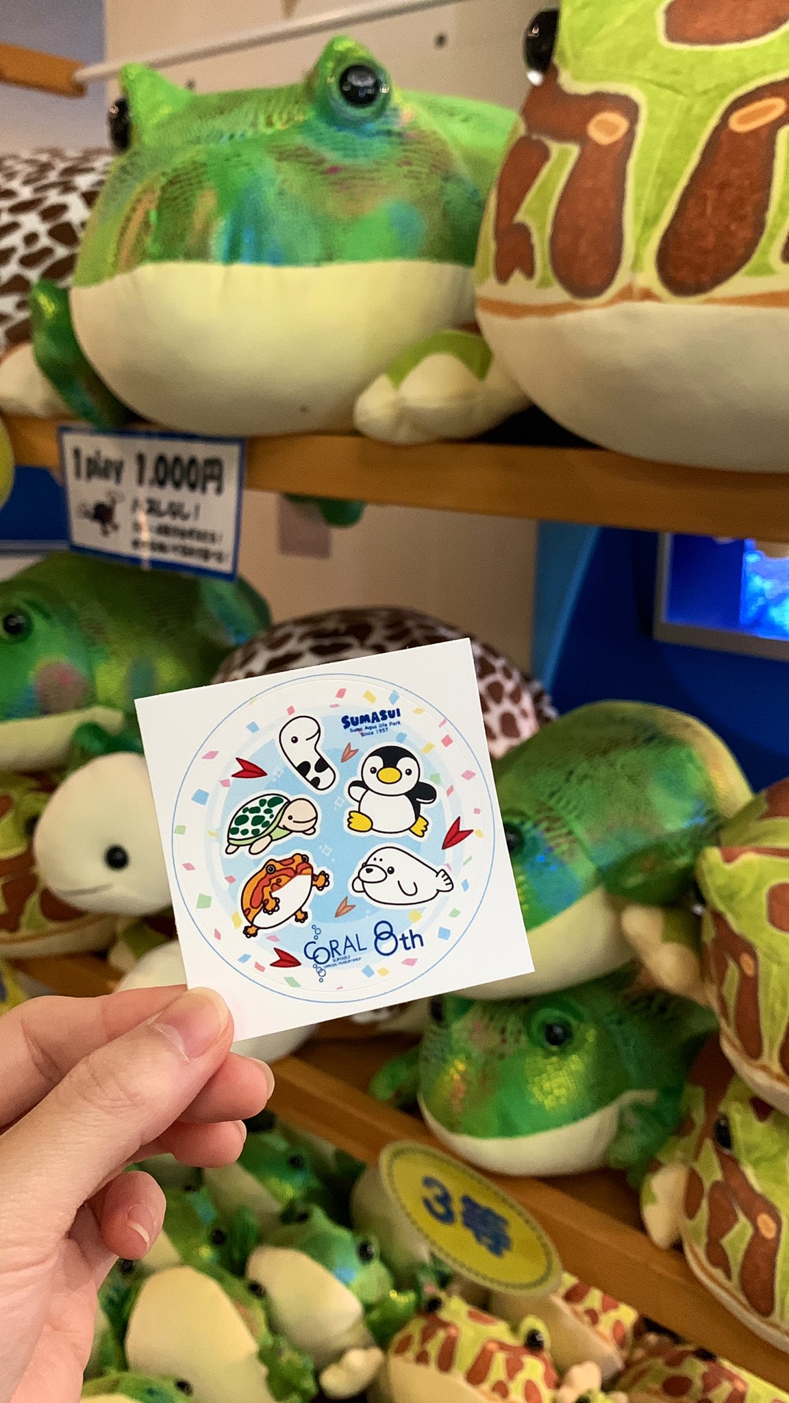 ツノガエルくじ ぬいぐるみ 特賞 ツノガエルくじ ぬいぐるみ 特賞