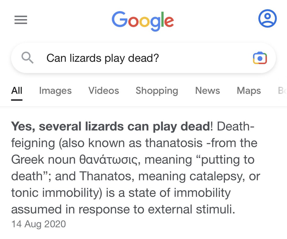 ReptilianRenegg's tweet photo. You thought we were dead? Psh, Thanatosis. https://t.co/KGU8CsauOA