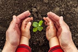 btjciegodeavila's tweet photo. En breve estaremos celebrando el Día Mundial del Medio Ambiente, cuiadar y proteger el mismo es tarea de todos.
#BTJCiegodeÁvila
#ReJACiegodeÁvila
#DiaMundialDelMedioAmbiente https://t.co/PmcT04Fq6P