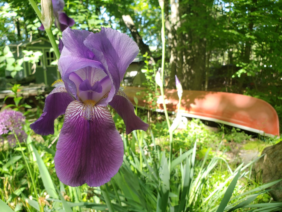 cmttmp's tweet photo. June is very pretty https://t.co/4D2i1VBswh