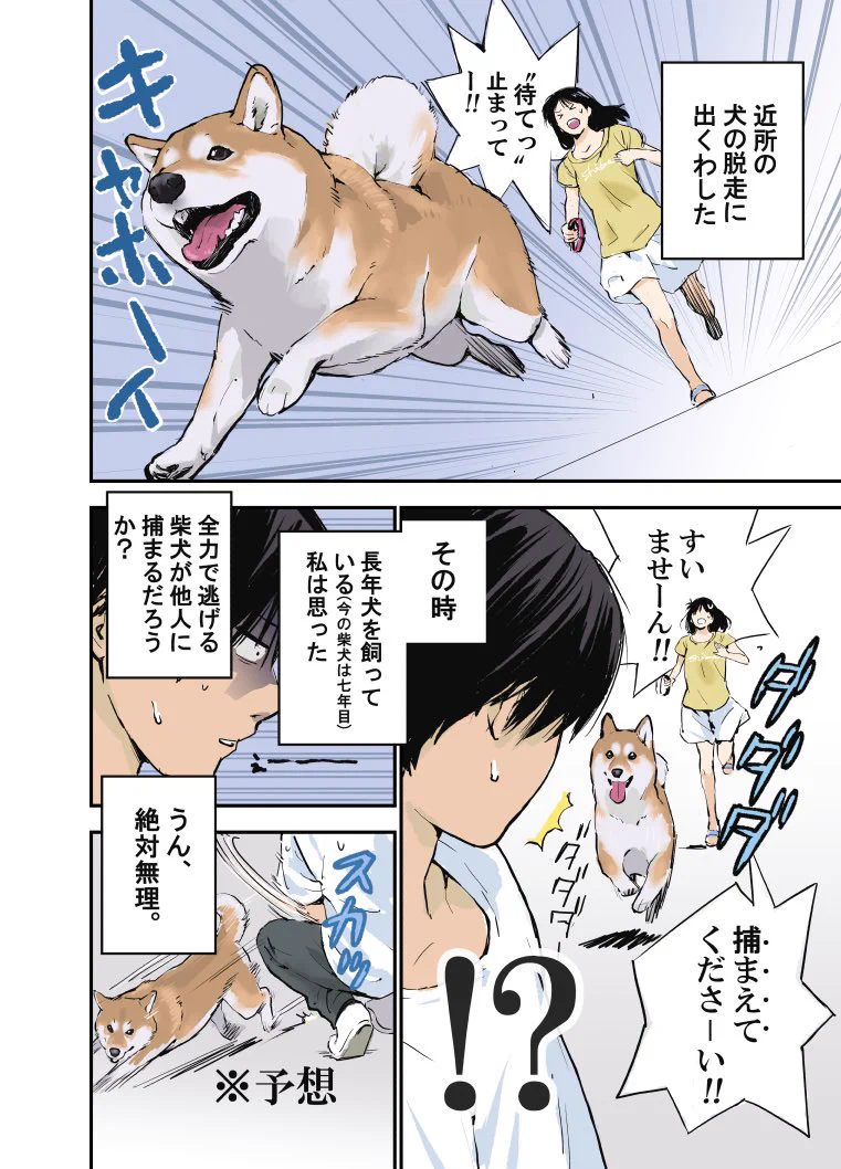 逃走する犬の捕まえ方？！脱走中の柴犬に遭遇したときのお話を描いた漫画が話題に！