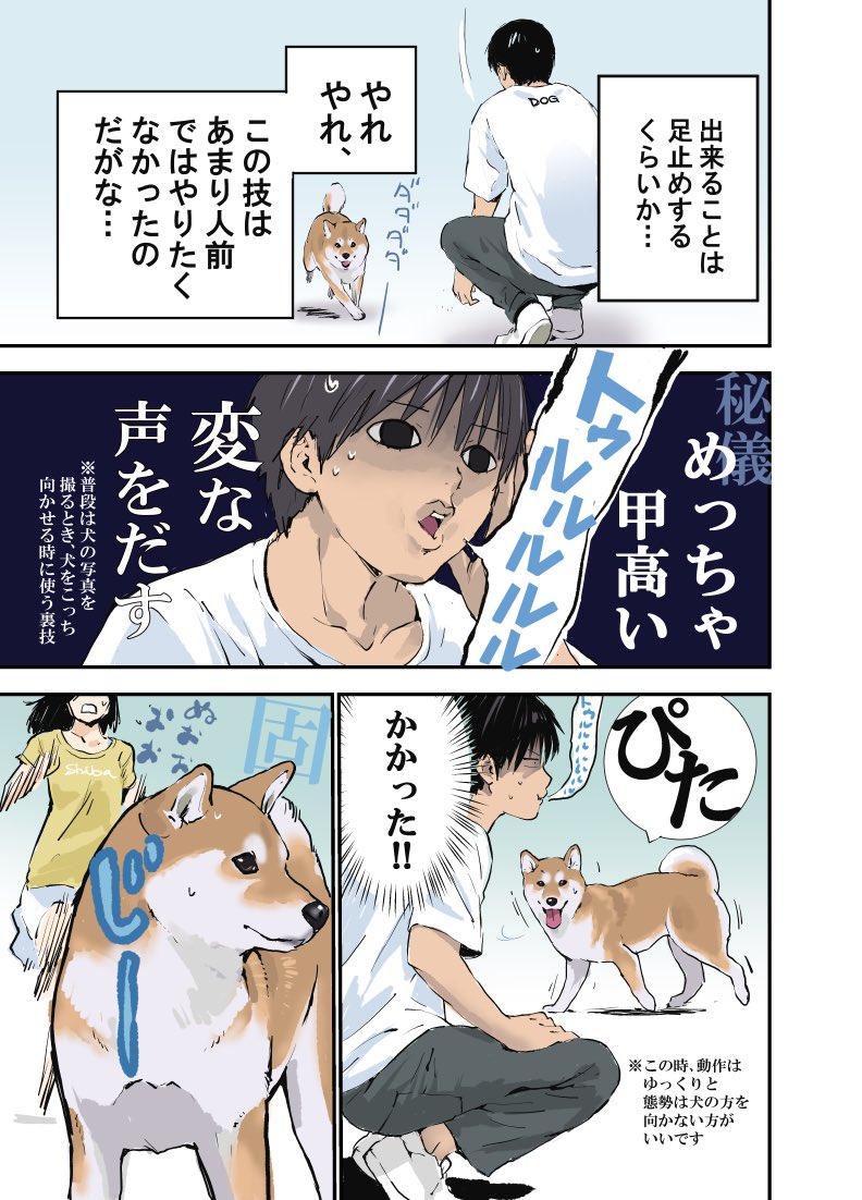 近所の犬が脱走している光景に出くわした 出来れば人前で使いたくなかったとある秘技により無事捕獲に成功 Togetter