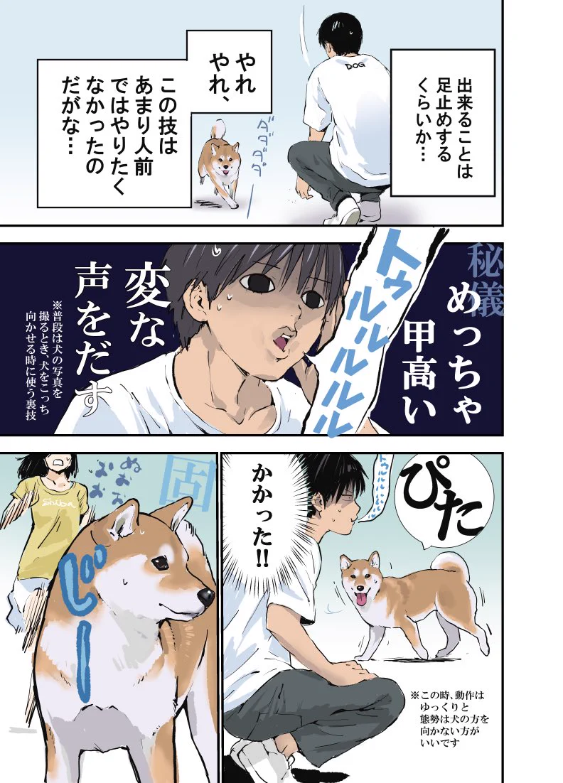 逃走する犬の捕まえ方？！脱走中の柴犬に遭遇したときのお話を描いた漫画が話題に！